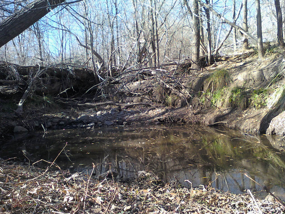 Alpine Creek Alpine, Texas