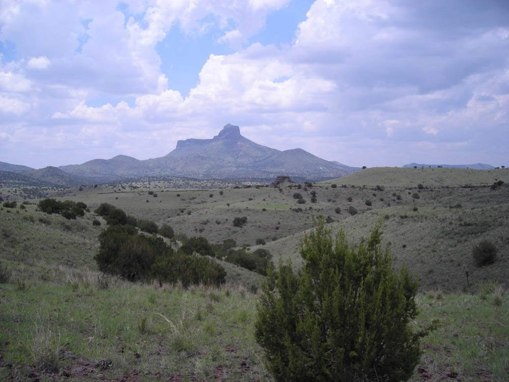 Rock Hunting Paradise, view of Cathedral Mountain from the Woodward