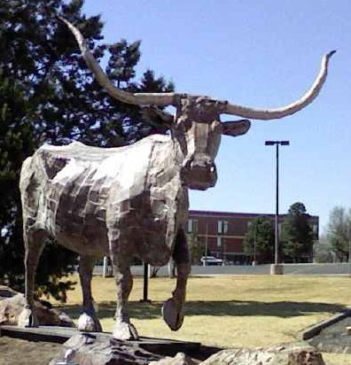 Alpine Bull at Sul Ross State University