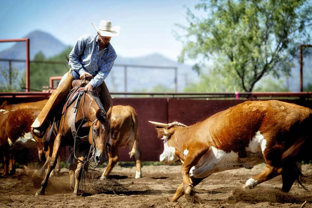 O6 Cutting Horse Competition Alpine, Texas