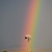 "More Precious than a Pot of Gold" A turning windmill in Sunny Glen after a rain shower