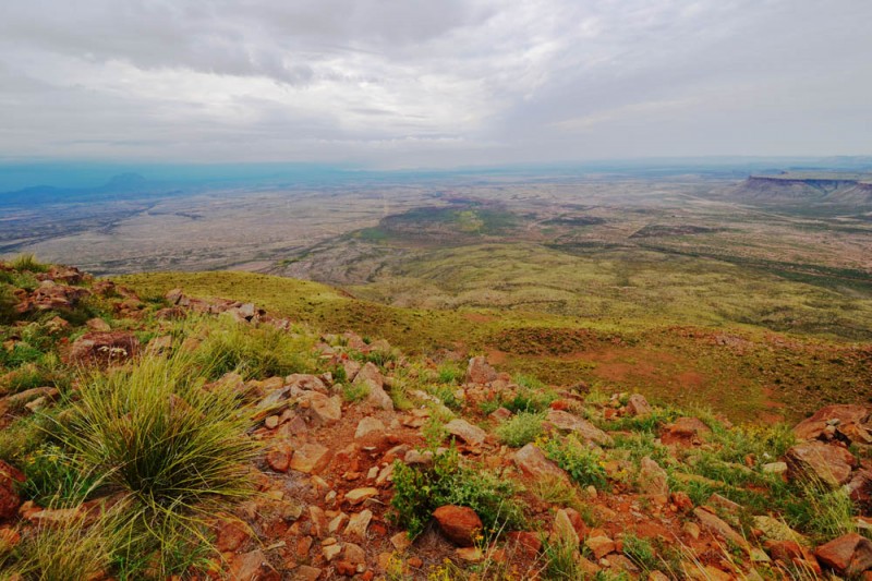 Elephant Mountain | Alpine, Texas