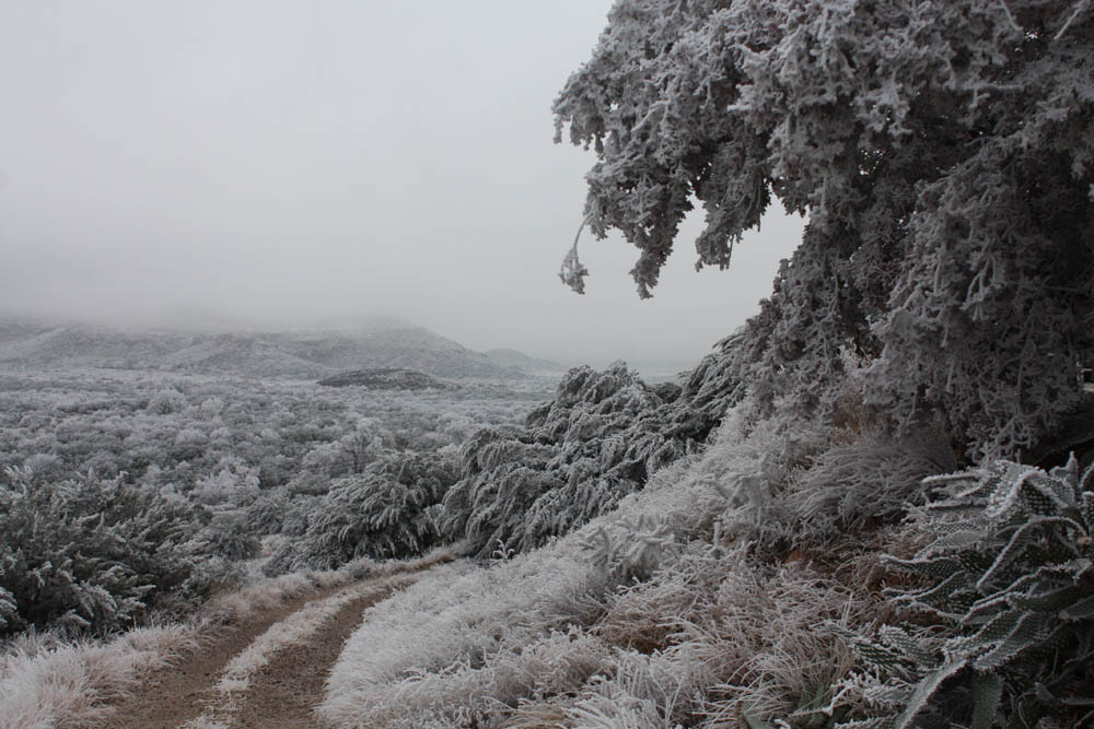 Winter Quiet in Sunny Glen Alpine, Texas
