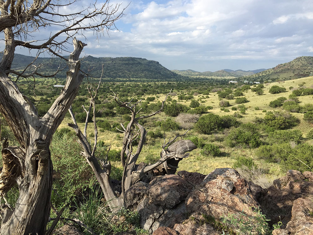 Sunny Glen Alpine, Texas