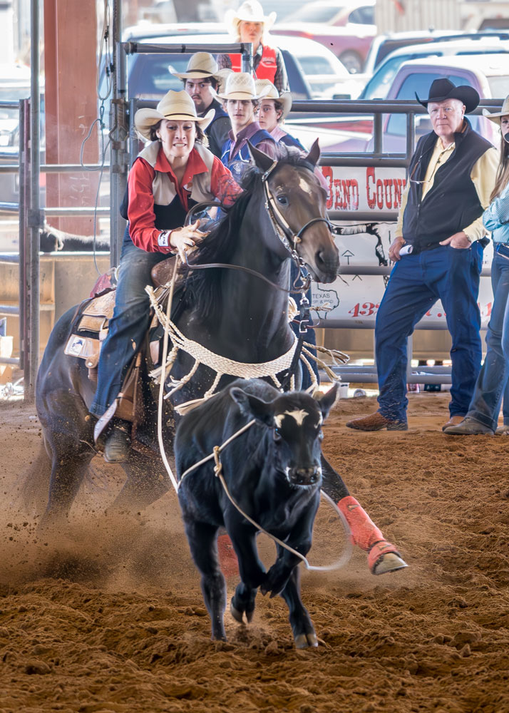 Sul Ross Rodeo - Alpine, TexasAlpine, Texas