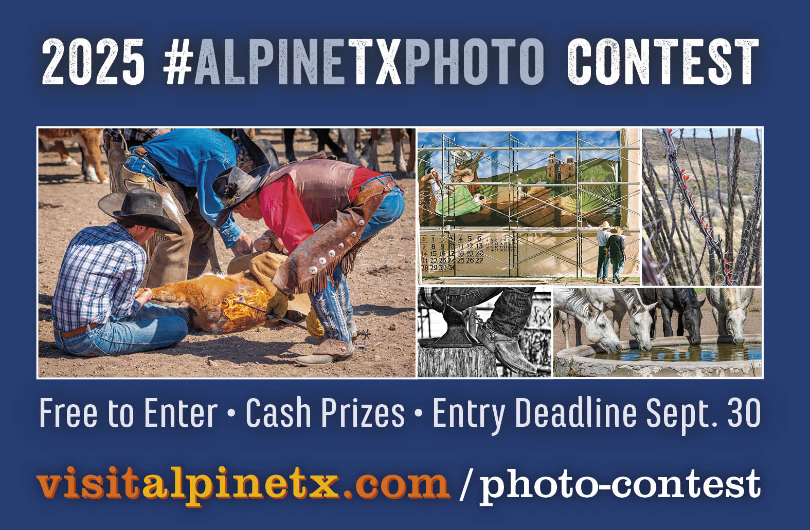contest photos
