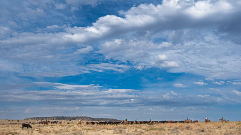 O6 Ranch Round Up - Alpine, TexasAlpine, Texas