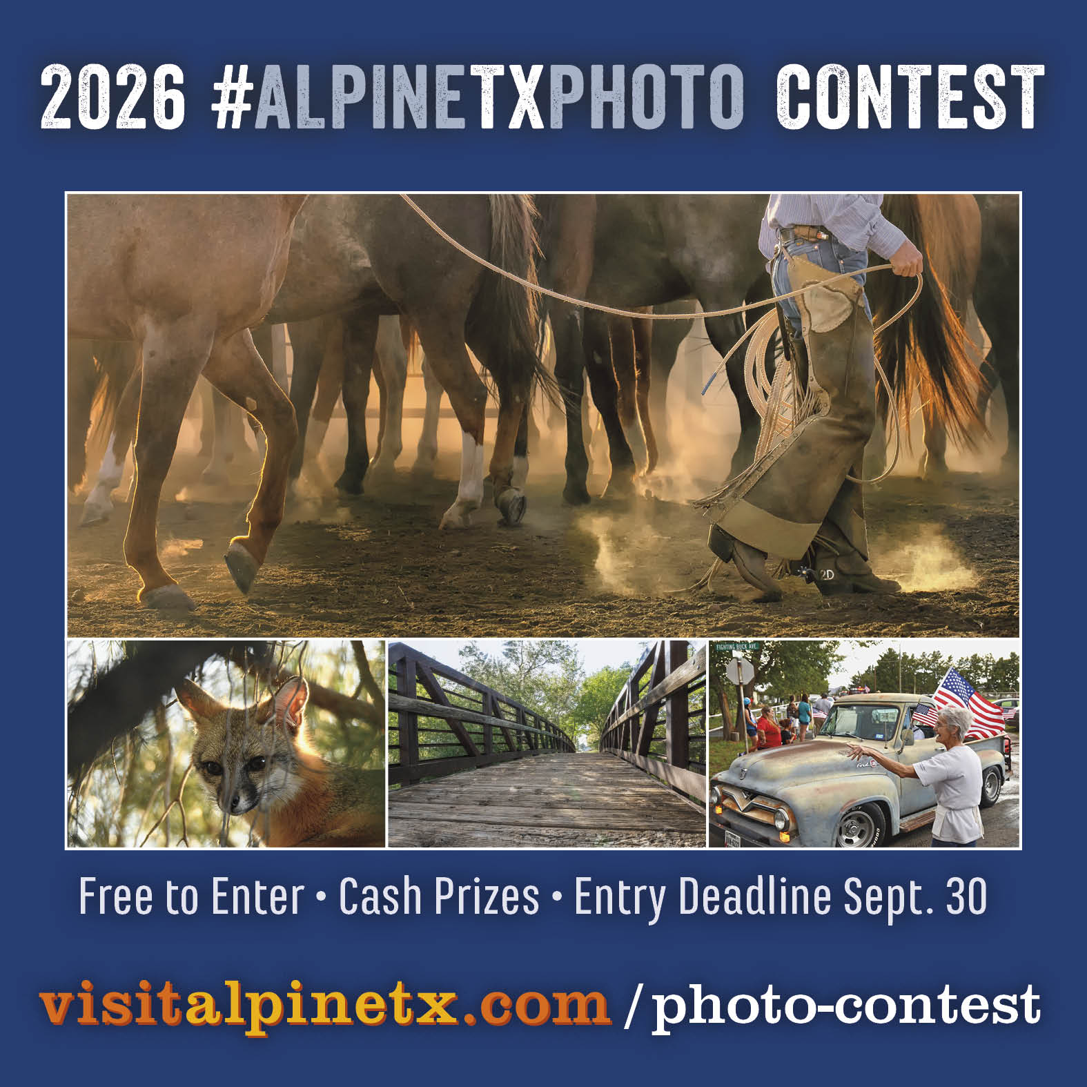 contest photos